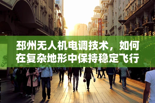 邳州无人机电调技术，如何在复杂地形中保持稳定飞行？