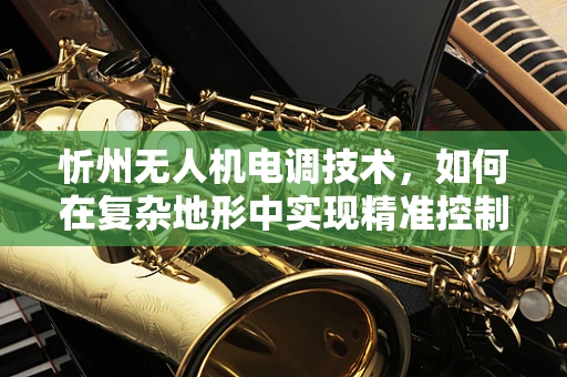 忻州无人机电调技术，如何在复杂地形中实现精准控制？