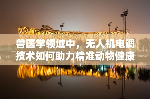 兽医学领域中，无人机电调技术如何助力精准动物健康监测？
