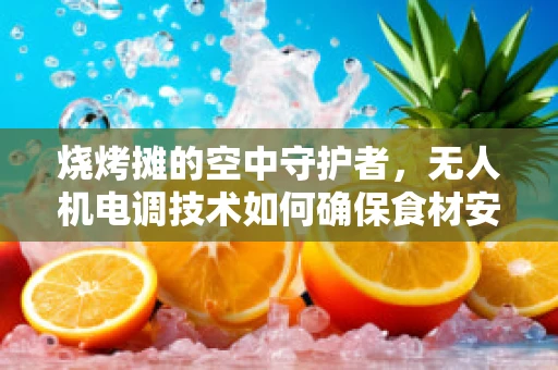 烧烤摊的空中守护者，无人机电调技术如何确保食材安全？