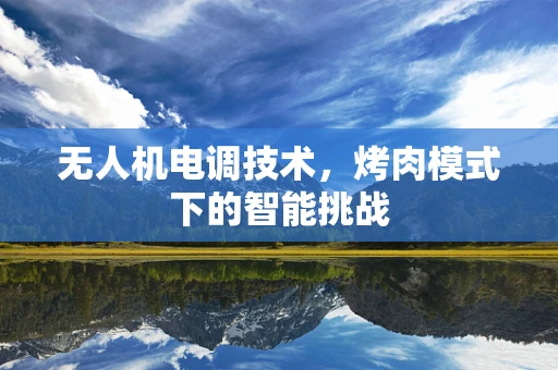 无人机电调技术，烤肉模式下的智能挑战