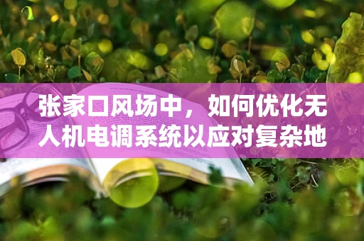 张家口风场中，如何优化无人机电调系统以应对复杂地形挑战？