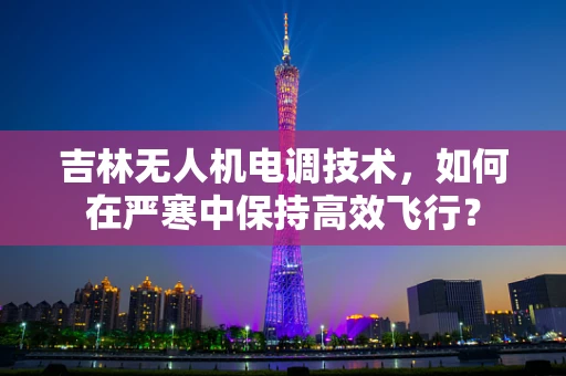 吉林无人机电调技术，如何在严寒中保持高效飞行？