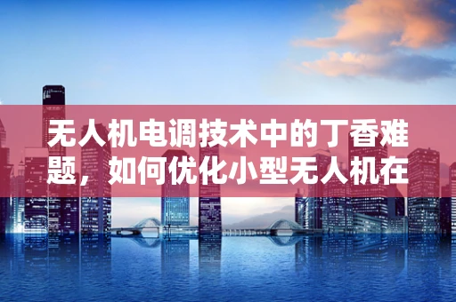 无人机电调技术中的丁香难题，如何优化小型无人机在复杂环境下的飞行稳定性？