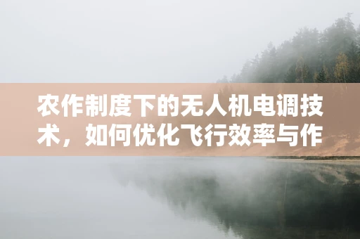 农作制度下的无人机电调技术，如何优化飞行效率与作物管理？