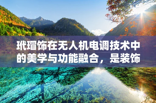 玳瑁饰在无人机电调技术中的美学与功能融合，是装饰还是性能提升的秘密？
