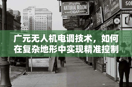 广元无人机电调技术，如何在复杂地形中实现精准控制？
