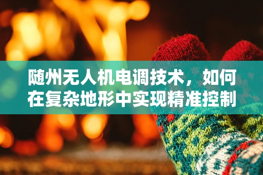 随州无人机电调技术，如何在复杂地形中实现精准控制？