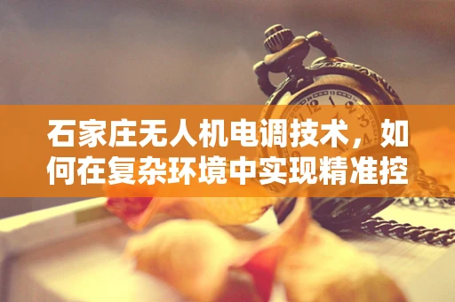 石家庄无人机电调技术，如何在复杂环境中实现精准控制？