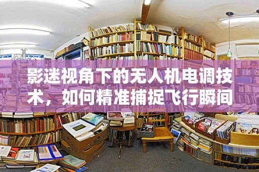 影迷视角下的无人机电调技术，如何精准捕捉飞行瞬间？