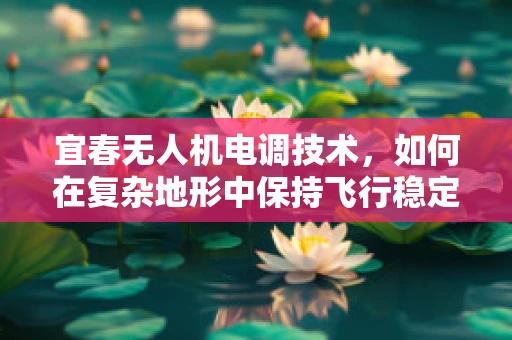 宜春无人机电调技术，如何在复杂地形中保持飞行稳定？