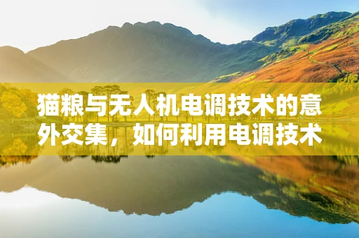 猫粮与无人机电调技术的意外交集，如何利用电调技术优化无人机投送猫粮的精准度？