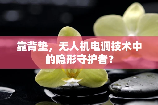 靠背垫，无人机电调技术中的隐形守护者？