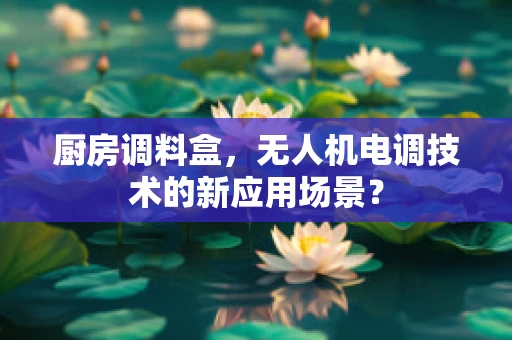 厨房调料盒，无人机电调技术的新应用场景？