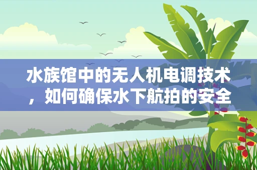 水族馆中的无人机电调技术，如何确保水下航拍的安全与稳定？