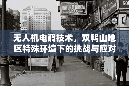 无人机电调技术，双鸭山地区特殊环境下的挑战与应对策略