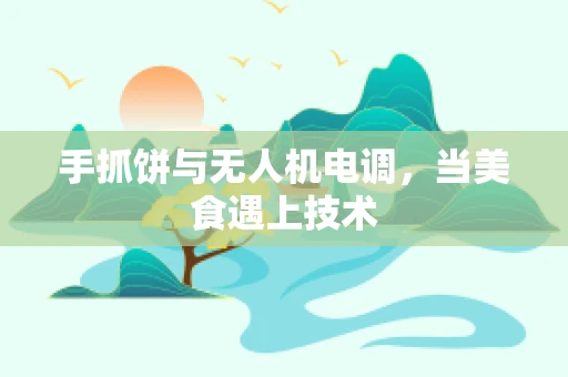 手抓饼与无人机电调，当美食遇上技术