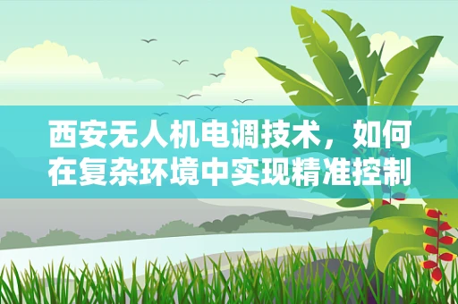 西安无人机电调技术，如何在复杂环境中实现精准控制？