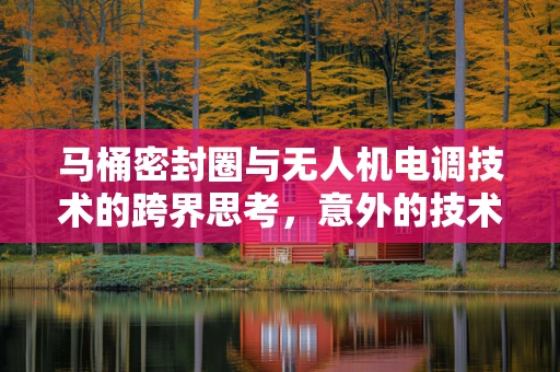 马桶密封圈与无人机电调技术的跨界思考，意外的技术融合点？