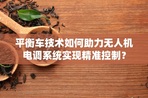 平衡车技术如何助力无人机电调系统实现精准控制？