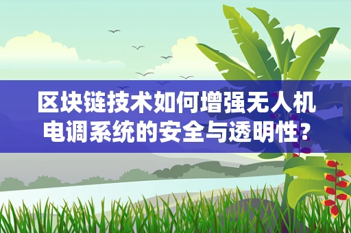 区块链技术如何增强无人机电调系统的安全与透明性？