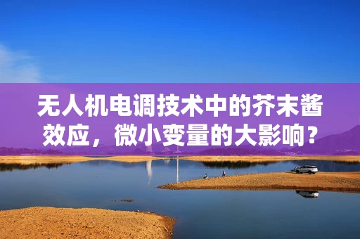无人机电调技术中的芥末酱效应，微小变量的大影响？