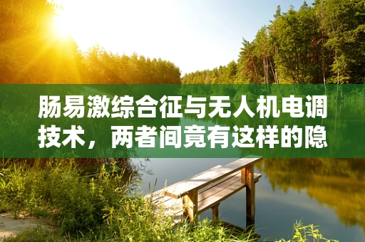 肠易激综合征与无人机电调技术，两者间竟有这样的隐秘联系？