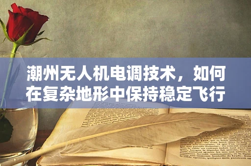 潮州无人机电调技术，如何在复杂地形中保持稳定飞行？