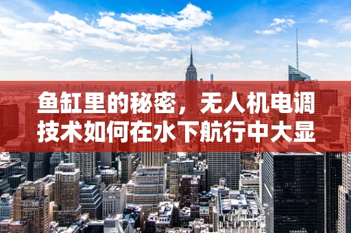 鱼缸里的秘密，无人机电调技术如何在水下航行中大显身手？