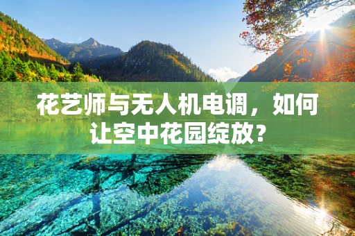 花艺师与无人机电调，如何让空中花园绽放？