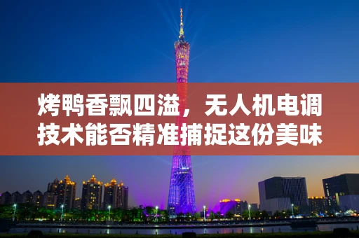 烤鸭香飘四溢，无人机电调技术能否精准捕捉这份美味？