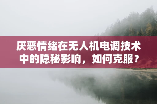 厌恶情绪在无人机电调技术中的隐秘影响，如何克服？
