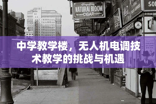 中学教学楼，无人机电调技术教学的挑战与机遇