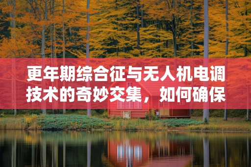 更年期综合征与无人机电调技术的奇妙交集，如何确保飞行稳定性？