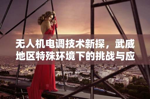 无人机电调技术新探，武威地区特殊环境下的挑战与应对