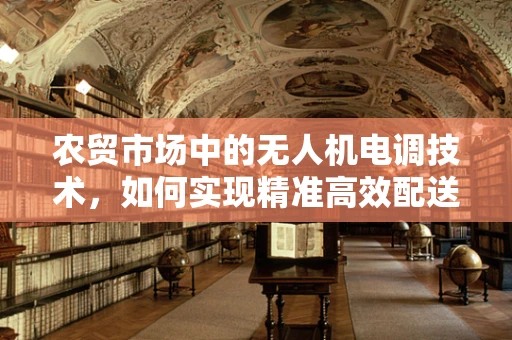农贸市场中的无人机电调技术，如何实现精准高效配送？