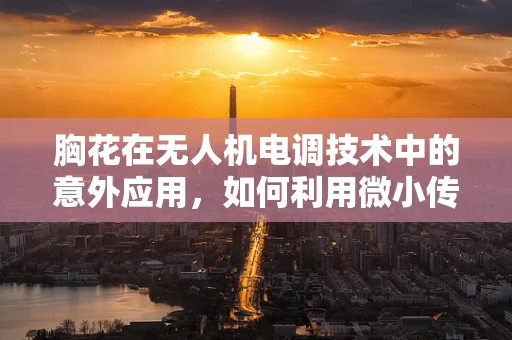 胸花在无人机电调技术中的意外应用，如何利用微小传感器提升飞行稳定性？