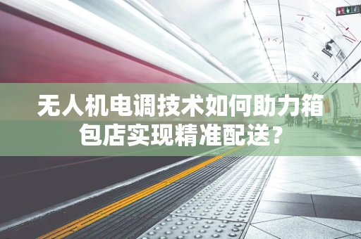 无人机电调技术如何助力箱包店实现精准配送？