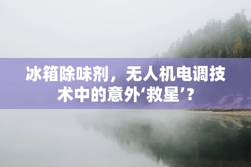 冰箱除味剂，无人机电调技术中的意外‘救星’？