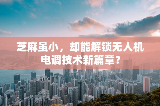 芝麻虽小，却能解锁无人机电调技术新篇章？