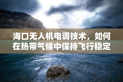 海口无人机电调技术，如何在热带气候中保持飞行稳定性？