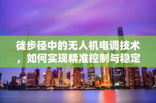 徒步径中的无人机电调技术，如何实现精准控制与稳定飞行？