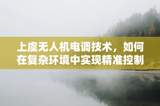 上虞无人机电调技术，如何在复杂环境中实现精准控制？