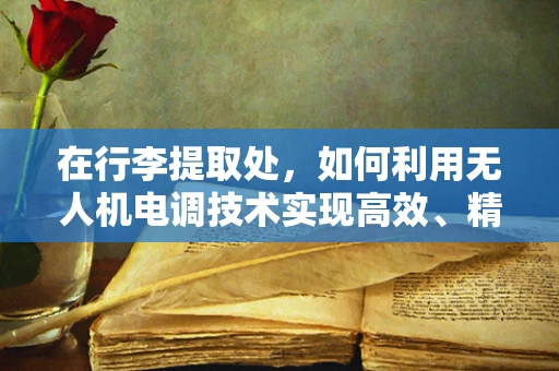 在行李提取处，如何利用无人机电调技术实现高效、精准的行李追踪？