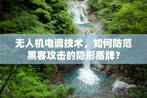 无人机电调技术，如何防范黑客攻击的隐形盾牌？