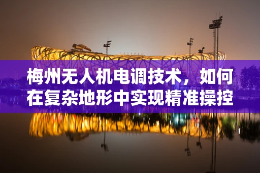 梅州无人机电调技术，如何在复杂地形中实现精准操控？