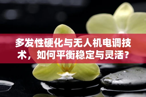 多发性硬化与无人机电调技术，如何平衡稳定与灵活？