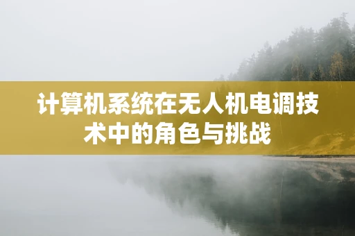 计算机系统在无人机电调技术中的角色与挑战