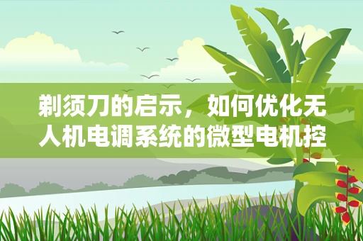 剃须刀的启示，如何优化无人机电调系统的微型电机控制？