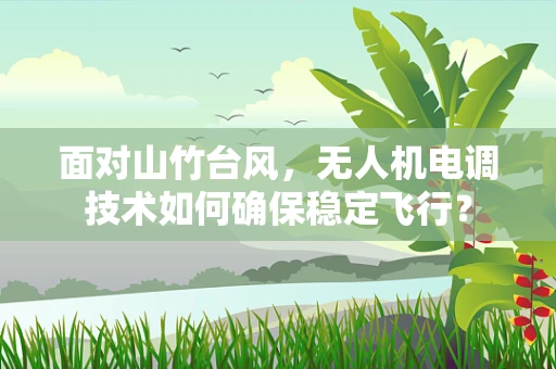 面对山竹台风，无人机电调技术如何确保稳定飞行？